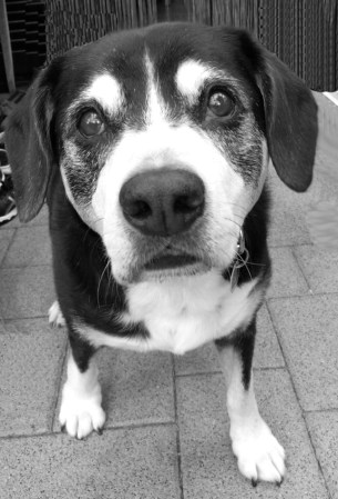 image2 bearbeitet sw